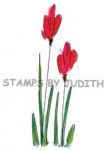 H-193 Fine Tulip